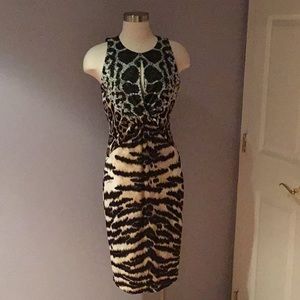 Roberto Cavalli Dress